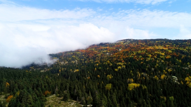 Sonbahar Uludağ'ı rengarenk ağaçlarla süsledi